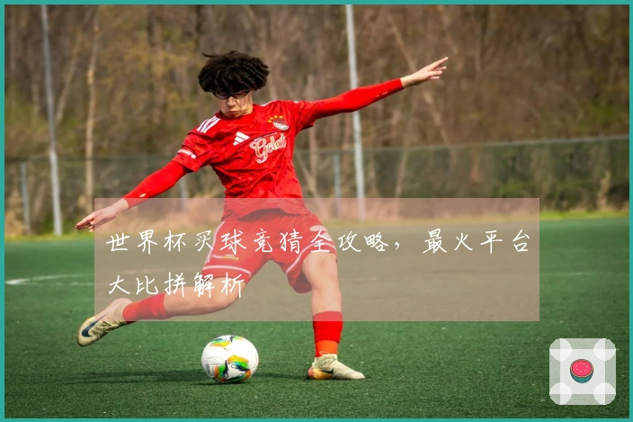 世界杯买球竞猜全攻略，最火平台大比拼解析