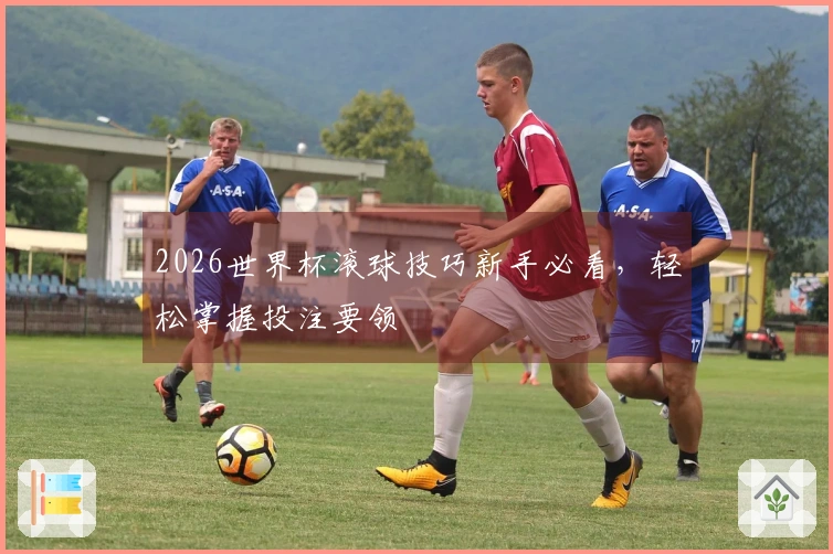 2026世界杯滚球技巧新手必看,轻松掌握投注要领