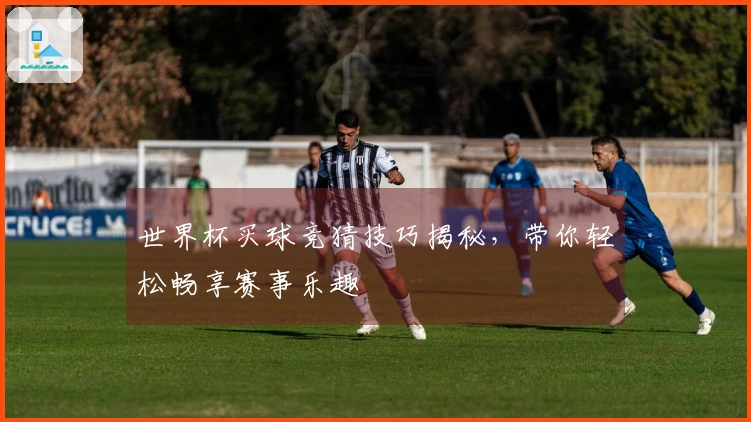 世界杯买球竞猜技巧揭秘，带你轻松畅享赛事乐趣