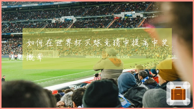如何在世界杯买球竞猜中提高中奖概率