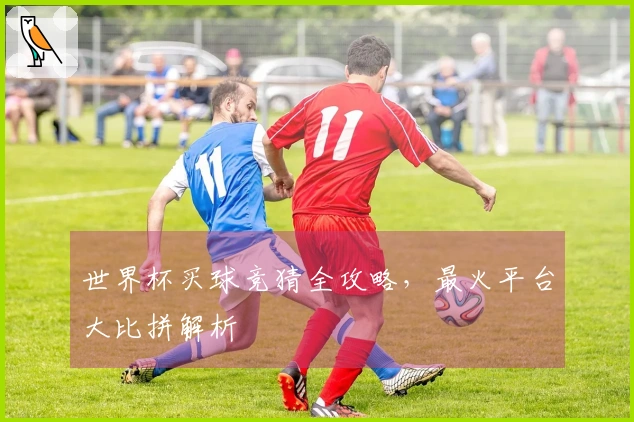 世界杯买球竞猜全攻略，最火平台大比拼解析