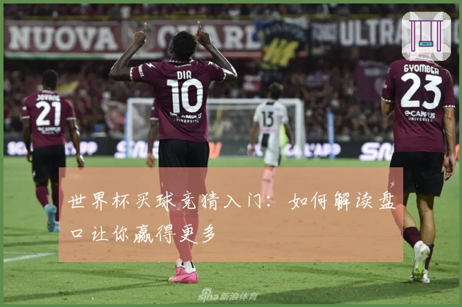 世界杯买球竞猜入门：如何解读盘口让你赢得更多