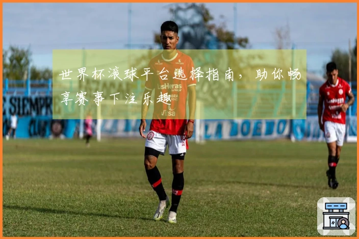 世界杯滚球平台选择指南，助你畅享赛事下注乐趣